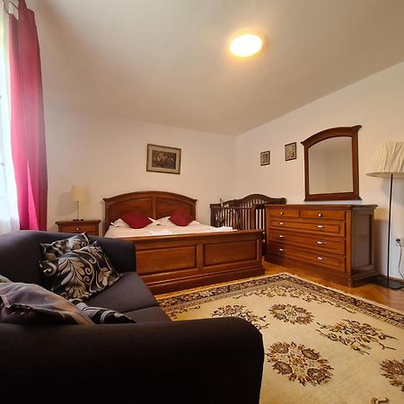 Lelia Residence Apartments Brašov Exteriér fotografie