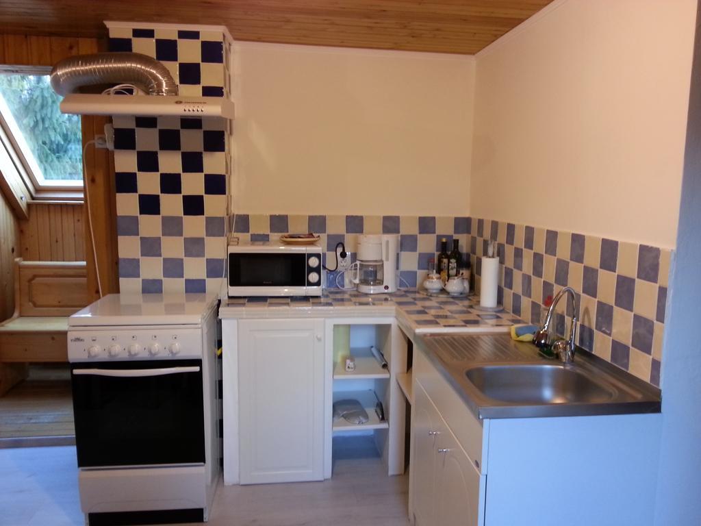 Lelia Residence Apartments Brašov Pokoj fotografie